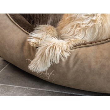 Eine Nahaufnahme von den Pfoten eines flauschigen Hundes, die auf einem weichen, beige Haustierbett mit braunem Innenraum ruhen, was Komfort und Entspannung zeigt.