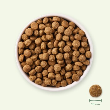 Bol de croquettes pour animaux de compagnie, montrant un gros plan des morceaux ronds et bruns avec une référence de taille de 10 mm.