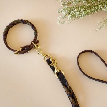 Eine stilvolle geflochtene Hundeleine in Braun und Grün mit goldenen Beschlägen, auf einem hellbeigen Hintergrund ausgelegt, neben einem kleinen Strauß weißer Blumen.