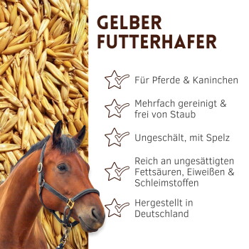 Nahaufnahme frischer ganzer Haferkörner mit deutschem Text, der Eigenschaften wie staubfrei, ungeschält, hochwertiges Rohmaterial und reich an ungesättigten Fettsäuren auflistet.