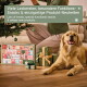 Adventskalender für Hunde mit speziellen funktionalen Snacks, hochwertigen Naturprodukten und sanften Pflegeartikeln für glänzendes Fell.