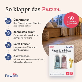 Pawlie's Banner mit der Aufschrift 'Alle Größen & Rassen' und 'FÜR HUNDE & KATZEN' mit Katze, kleinem Hund, Corgi (M) und Rottweiler (L).