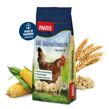 PANTO KAK Hühnerfutterbeutel mit einer Henne und vier Küken auf Gras, betont hohen Proteingehalt und Aminosäuren.
