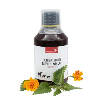 Braune Flasche mit der Aufschrift "Leber und Niere Akut 100% Natur" mit Silhouetten von Pferd, Hund und Katze, von HerzensTIER.
