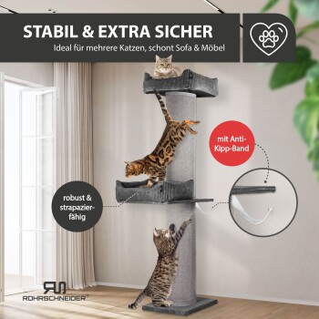 Getigerte Katze in grauem, geripptem Katzenbett mit deutschen Beschriftungen: 'KUSCHLIGES KATZENBETT', '35.000 Scheuertouren', ROHRSCHNEIDER.