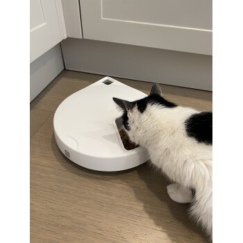 Eine schwarz-weiße Katze frisst aus einem modernen, weißen Futterspender auf einem Holzboden, mit einem sichtbaren 'DRÜCKEN'-Knopf.