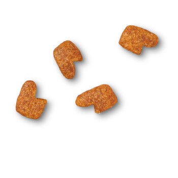 James wellbeloved cat food fish online