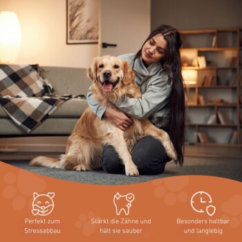 Eine Frau in einem grauen Hoodie umarmt einen glücklichen Golden Retriever, mit Text, der die Vorteile von Stressabbau und Zahngesundheit hervorhebt.