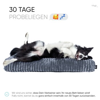 Ein verspielter schwarz-weißer Hund liegt auf einem plüschigen grauen Haustierbett, mit Text, der einen 30-tägigen Testzeitraum für das Bett bewirbt.