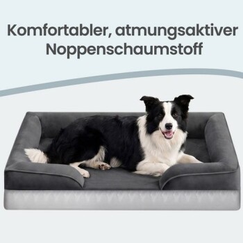 Schwarz-weißer Hund liegt auf einem grauen Haustierbett mit Rand; darüberstehender Text: „Komfortabler, atmungsaktiver Noppenschaumstoff“.