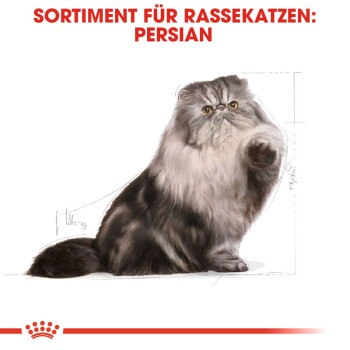 ROYAL CANIN Persian Adult 2x10 kg