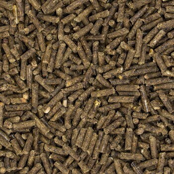 Nahaufnahme von kleinen, dunkelbraunen Haustierfutterpellets, die über eine Oberfläche verstreut sind und ihre zylindrische Form und strukturierte Oberfläche zeigen.