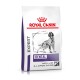 Expert Dental Medium & Large Dogs 6 kg