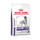 Royal Canin Expert Dental Hundefutterbeutel für mittelgroße und große Hunde, mit einer schwarz-weißen Hundillustration und fettem Text.