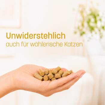 Getigerte Katze mit Snackdose und deutschem Text „Fütterungsempfehlung“ und „Bis zu 12 Stück“