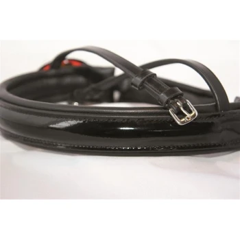 Schwarze, glänzende Leder-Hundeleine mit silberner Schnalle, auf einem weißen Hintergrund aufgewickelt.