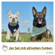 Zwei Hunde im Freien: ein Französischer Bulldogge mit einem blauen Bandana und ein Deutscher Schäferhund in grün, beide schauen in die Kamera. Text: "2er Set mit stilvollen Farben."