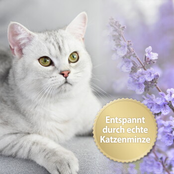 Silbergraue getigerte Katze liegt neben violetten Katzenminzenblüten und goldenem Siegel mit der Aufschrift 'Entspannt durch echte Katzenminze'