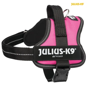 Pink Julius-K9 IDC Power dog harness with black straps and reflective stitching, featuring a sturdy buckle and metal D-ring.