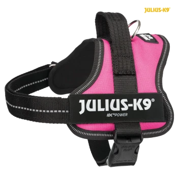 Pink Julius-K9 IDC Power dog harness with black straps and reflective stitching, featuring a sturdy buckle and metal D-ring.