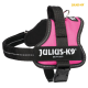 Rosa Julius-K9 IDC Power Hundegeschirr mit schwarzen Riemen und reflektierenden Nähten, ausgestattet mit einer stabilen Schnalle und einem Metall-D-Ring.