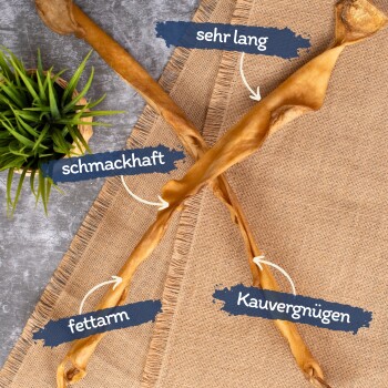 Drei kreuzförmige Hundeleckerlis beschriftet mit "sehr lang", "schmackhaft", "fettarm" und "Kauvergnügen" auf einer strukturierten Oberfläche mit einer kleinen grünen Pflanze im Hintergrund.