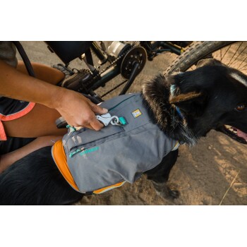 Eine Person, die eine Leine an einen schwarzen Hund mit einem grauen und orangefarbenen Ruffwear-Geschirr befestigt, mit einem Fahrrad im Hintergrund.