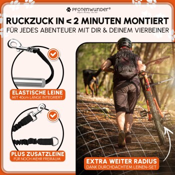 Hundeleinenset mit elastischer Länge von 40 cm und zusätzlicher Leine für mehr Freiheit, fördert Sicherheit und Spaß bei Abenteuern mit Haustieren.