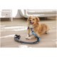Goldbrauner Hund liegt auf dem Boden mit einer blau-schwarz gemusterten Leine, die am Halsband befestigt ist, drinnen.