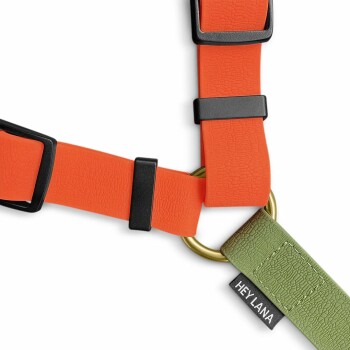 Eine Nahaufnahme eines bunten Haustiergeschirrs mit leuchtend orangefarbenen Riemen und schwarzen Clips sowie einem grünen Abschnitt, der mit "HEY LANA" beschriftet ist.