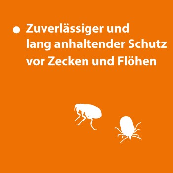 Zuverlässiger und langanhaltender Schutz vor Zecken und Flöhen, mit weißen Silhouetten von einem Floh und einer Zecke auf orangefarbenem Hintergrund.