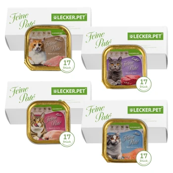 Vier Pakete "Feine Paté" Katzenfutter von LECKER.PET, mit verschiedenen Geschmacksrichtungen: Huhn, Truthahn, Rind und Lachs, jeweils mit 100g.