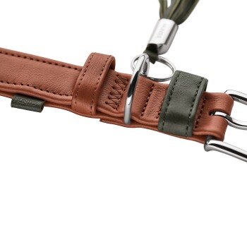 Nahaufnahme eines braunen Lederhalsbands mit grünem Halter, verchromtem D‑Ring und Schnalle, kleinem Anhänger mit Aufschrift „HUNTER“.