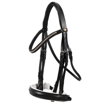 Schwarzes Lederpferdegeschirr mit dekorativen Strasssteinen, mit verstellbaren Riemen und einem gepolsterten Nasenband.