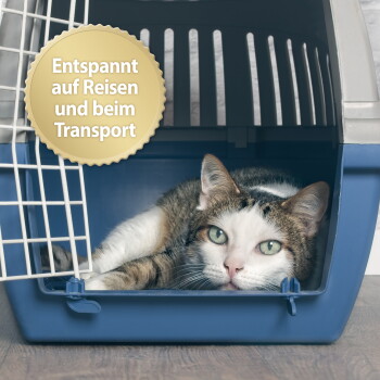 Getigert-weißes Kätzchen liegt in einer blauen Transportbox; goldenes Siegel mit der Aufschrift 'Entspannt auf Reisen und beim Transport'