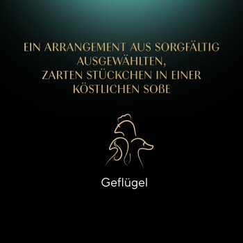 Dunkelgrün-schwarzer Hintergrund mit goldener Geflügel-Silhouette und deutschem Text 'Ein Arrangement ... köstlichen Soße' und 'Geflügel'.