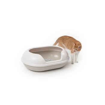 Eine hellfarbige Katzenklo mit offenem Deckel und grauem Streu darin, neben einer orangefarbenen Tabby-Katze, die neugierig darin schnüffelt.