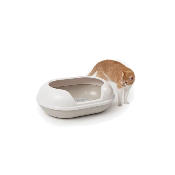 Eine hellfarbige Katzenklo mit offenem Deckel und grauem Streu darin, neben einer orangefarbenen Tabby-Katze, die neugierig darin schnüffelt.