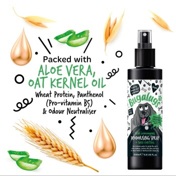 Eine Flasche "Bugalugs Wild Lemongrass Deodorising Spray" mit Illustrationen von Aloe Vera und Haferkernöl, die die Hauptbestandteile hervorheben.