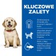 Uśmiechający się szczeniak golden retriever z czerwoną obrożą siedzi po lewej; po prawej wymienione korzyści: zrównoważone minerały, białko i DHA dla rozwoju.
