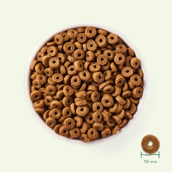 Eine weiße Schüssel gefüllt mit kleinen, runden, braunen Hundefutterkroketten, jede etwa 10 mm im Durchmesser, vor einem hellgrünen Hintergrund.