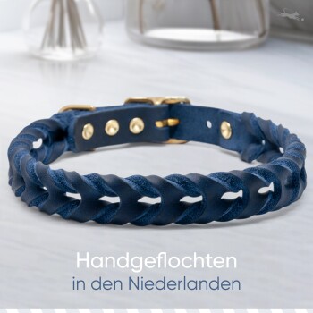 Handgefertigtes blaues Lederhalsband für Hunde mit geflochtenem Design und goldenen Beschlägen, mit dem Text "Handgeflochten in den Niederlanden."