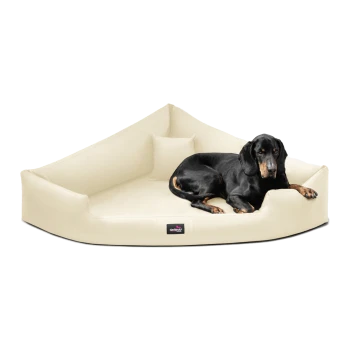 Ein schwarzer Hund liegt bequem auf einem cremefarbenen, dreieckigen Hundebett mit einem kleinen Kissen, mit einem Logo an der Seite.