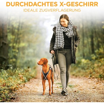 Ein brauner Hund im Geschirr steht auf Gras, mit folgendem Text: "Schnell verstellbar," "Kein Ziehen nötig," und "Sichere Passform."