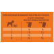 Guide d'alimentation quotidien pour chiens, montrant les rations recommandées en fonction du poids (1-10 kg) et du niveau d'activité, avec des mesures en tasses.