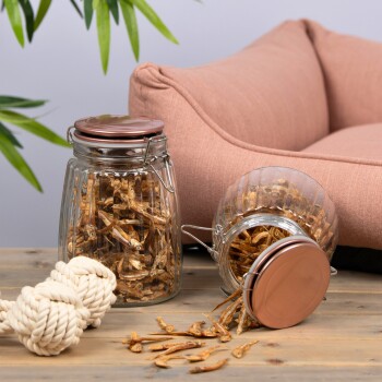 Glasbehälter gefüllt mit getrockneten Fischleckerlis für Haustiere, ein Behälter umgekippt und Leckerlis verschüttet, neben einem geknoteten Seilspielzeug und einem rosa Hundebett.