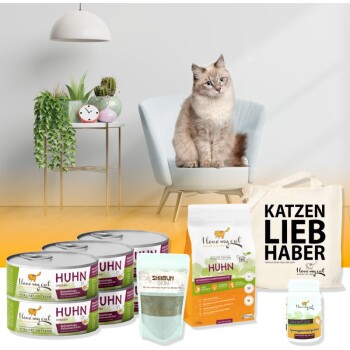 Eine flauschige Katze sitzt auf einem hellblauen Stuhl, umgeben von Haustierfutterprodukten und einer Tragetasche, auf der steht "KATZEN LIEB HABER."
