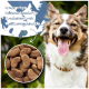 Ein Hund, der aus einer Edelstahlschüssel frisst, mit knusprigen Hühnerkroketten. Text: 'Knusprige Hühnerbasierte Kroketten mit Vollkorngetreide.'