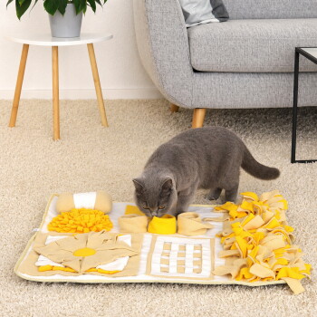 Graue Katze untersucht ein gelb-beiges Schnüffelmatten-Spielzeug auf cremefarbenem Teppich neben einem grauen Sofa und einem Tisch mit Pflanze.