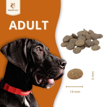 Eine Nahaufnahme eines schwarzen Hundes mit rotem Halsband, neben Hundefutter-Kibble, beschriftet mit "ADULT" und Kibble-Größenmessungen von 5 mm und 14 mm.